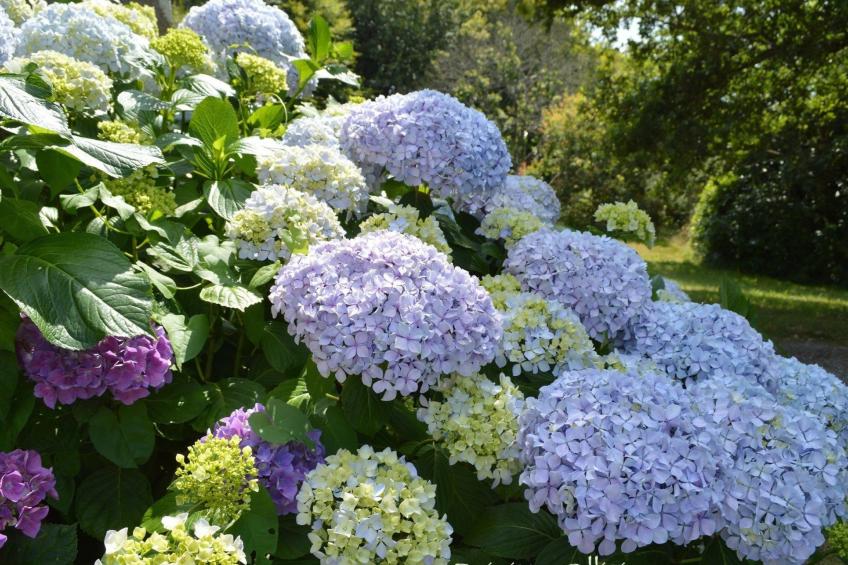 mit eigenem Garten und Grill - foto 22