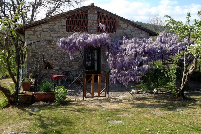 La Capanna - foto 2