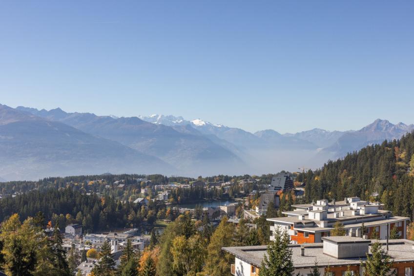 Cransalpin - foto 32