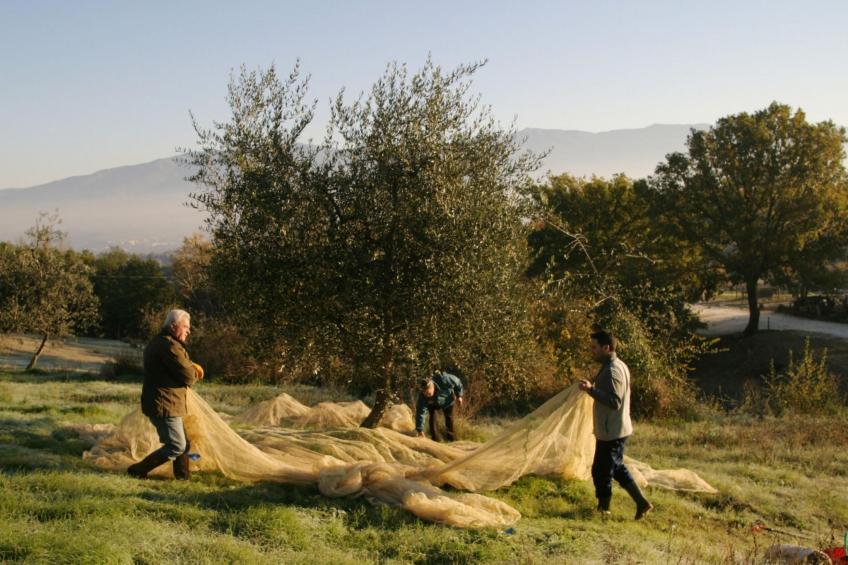 Wohnung in Figline Valdarno mit Gemeinschaftspool - foto 37