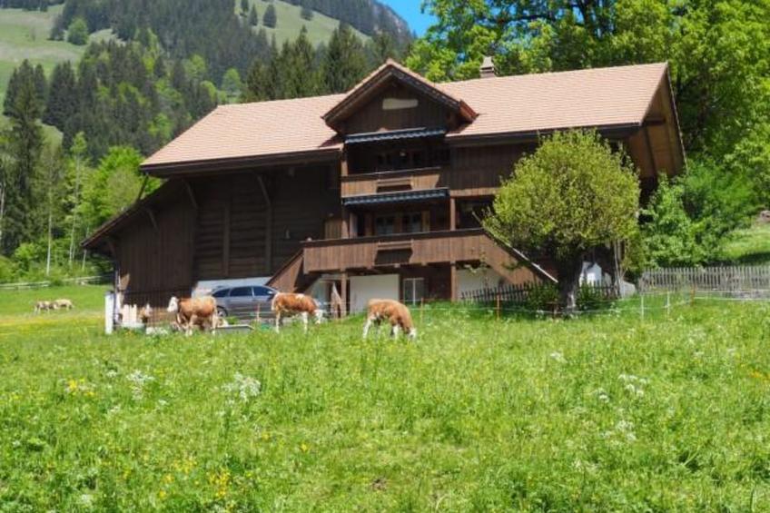 Chalet Rüteli Appartement/Fewo, Dusche, WC, 1 Schlafraum 2-Zimmerwohnung