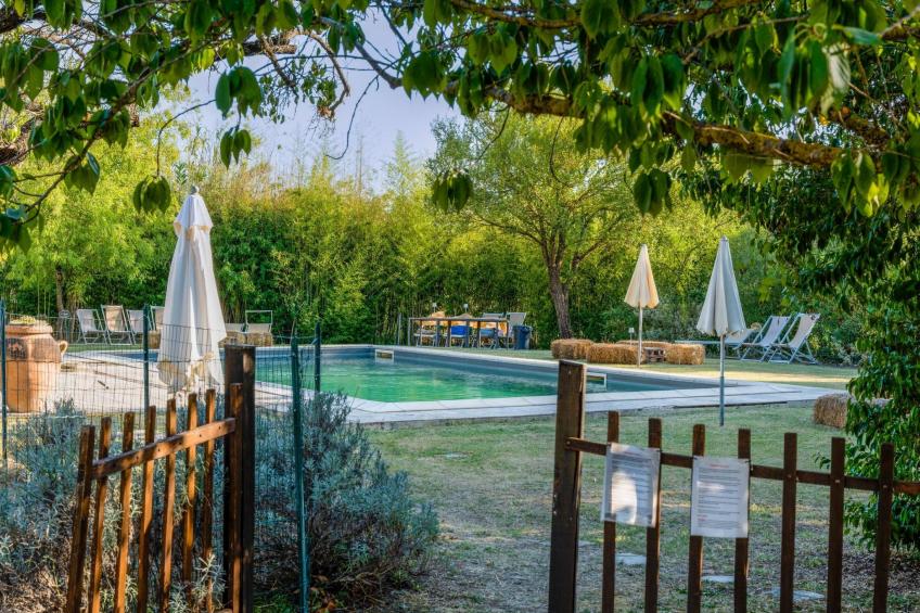 'Molinello albicocco' - foto 6