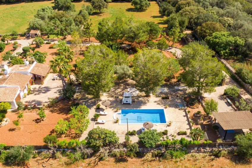 Mulet Llubi - foto 10