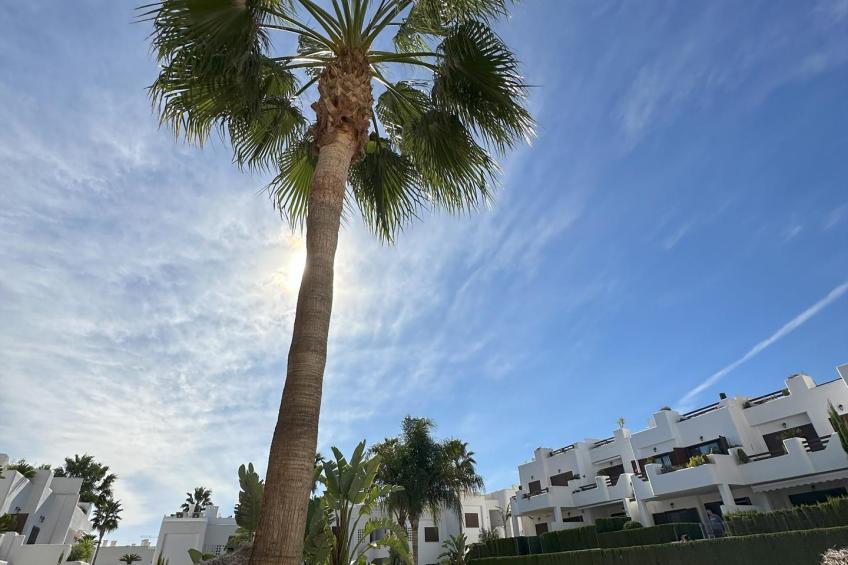 Casa Selisa - foto 14