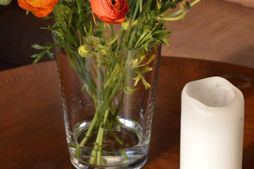 in Weenzen mit Großem Garten - foto 11