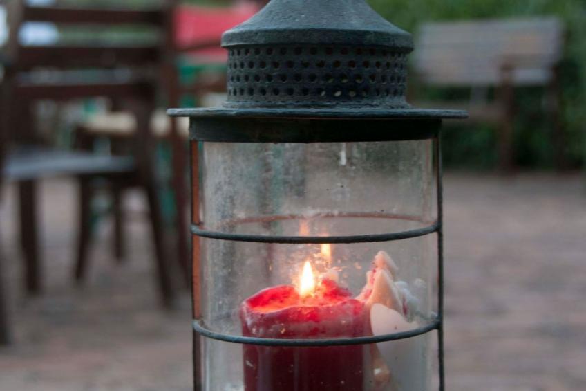 Apartment Rosa Canina (Wilde Rose) - foto 16