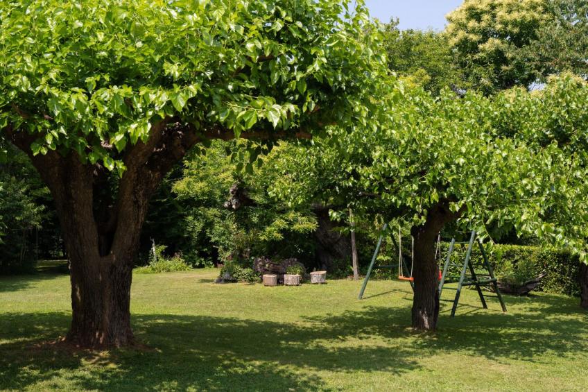 Gemütliches Ferienhaus in Ružići mit Offenem Kamin - foto 7