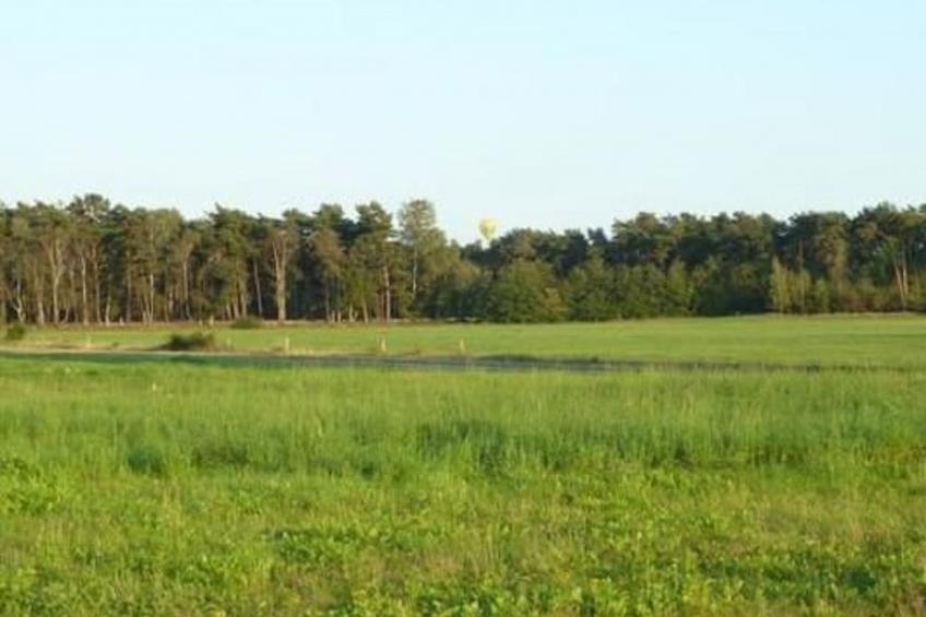 Schönes Ferienhaus in Brochterbeck mit Garten - foto 21
