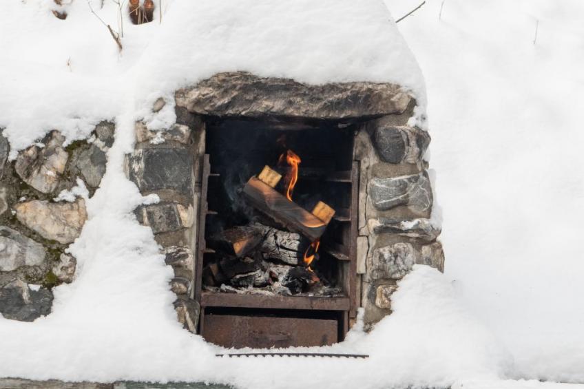 Alpen Retreat - foto 14