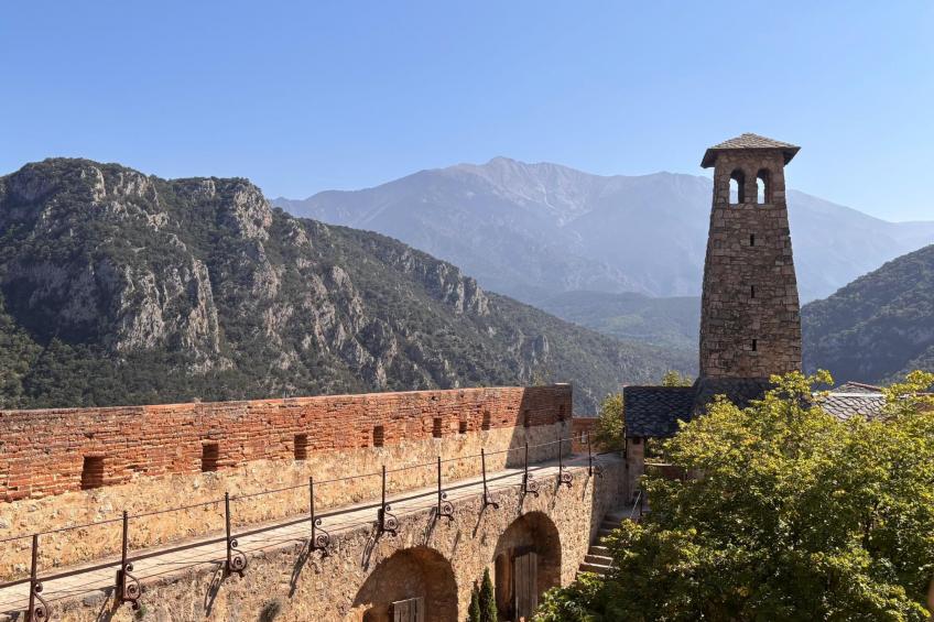 The Olive Retreat - foto 39