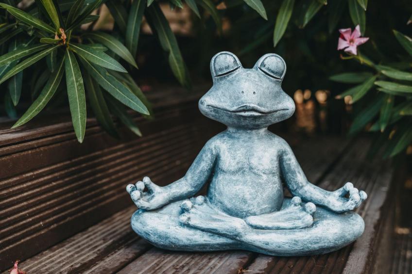 Charmante Ferienwohnung mit Terrasse und Pool - foto 11