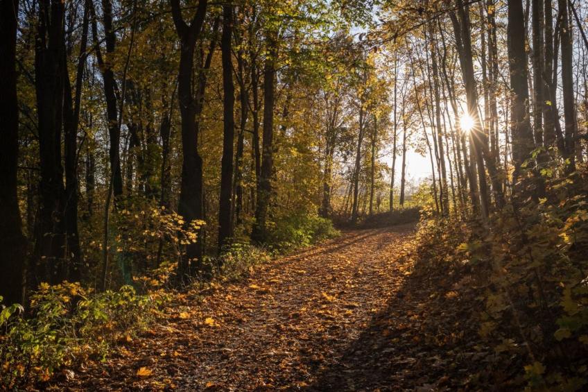 Jägerhaus - foto 36