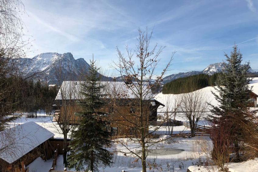 Tolle Wohnung in Bad Aussee mit Garten und Grill und Bergblick - foto 14