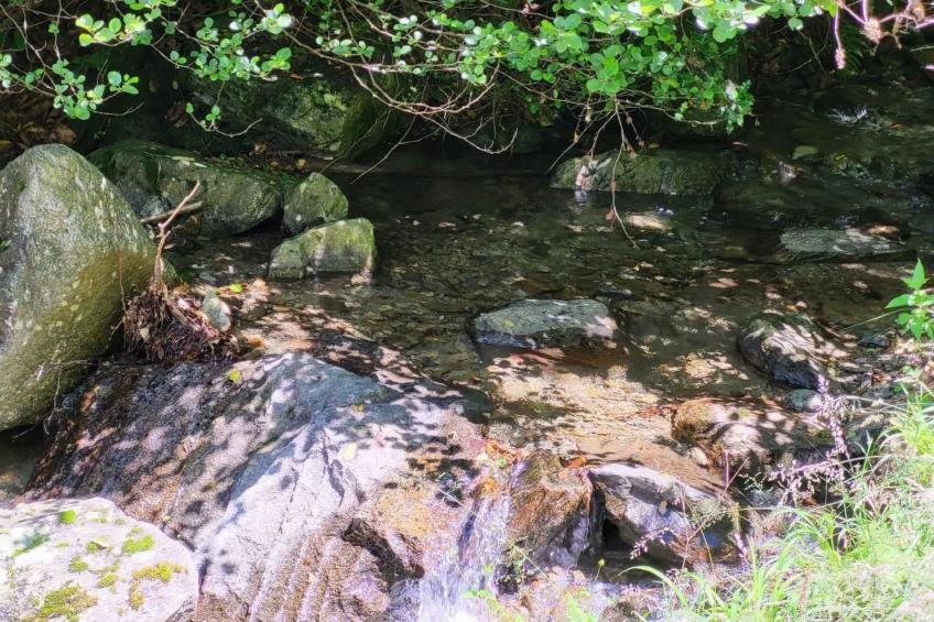 Rustico Ca Mignolo - foto 18