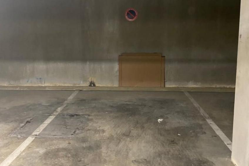 "Seepferdchen des Beckens" - foto 30