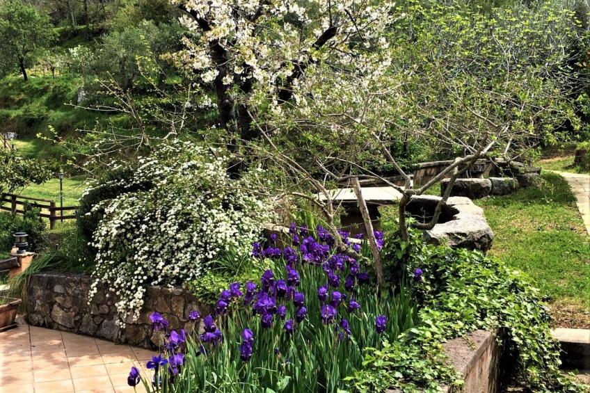 Granatapfel-Wohnung - foto 29