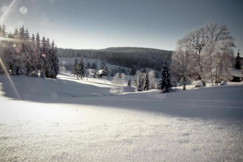 Jägersgrün - foto 29