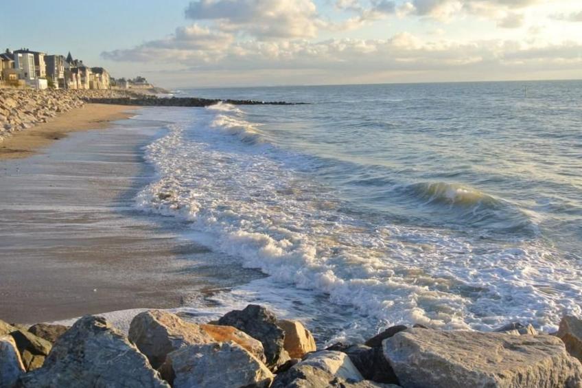 "Gîte de la Sienne" - foto 22