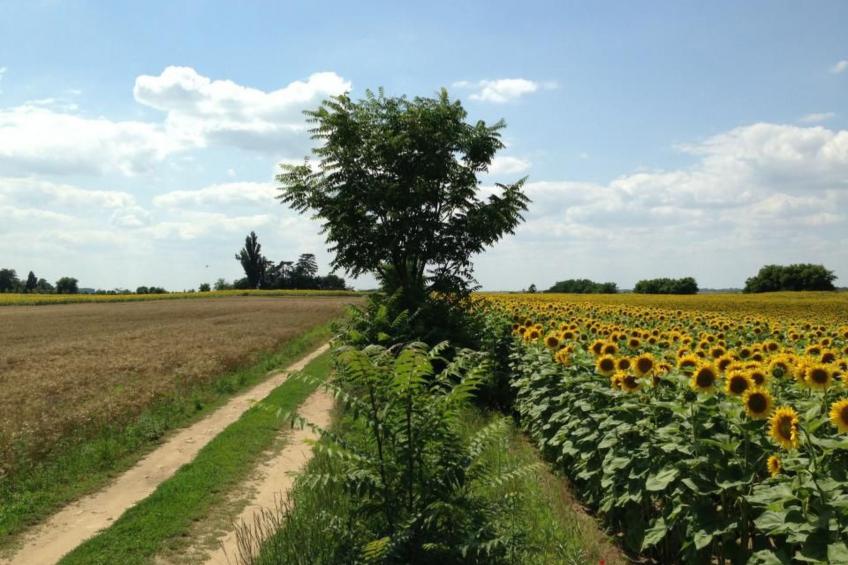 Hütte mit Garten, Grill und Terrasse - foto 40