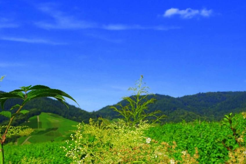 Traumwohnung - foto 19