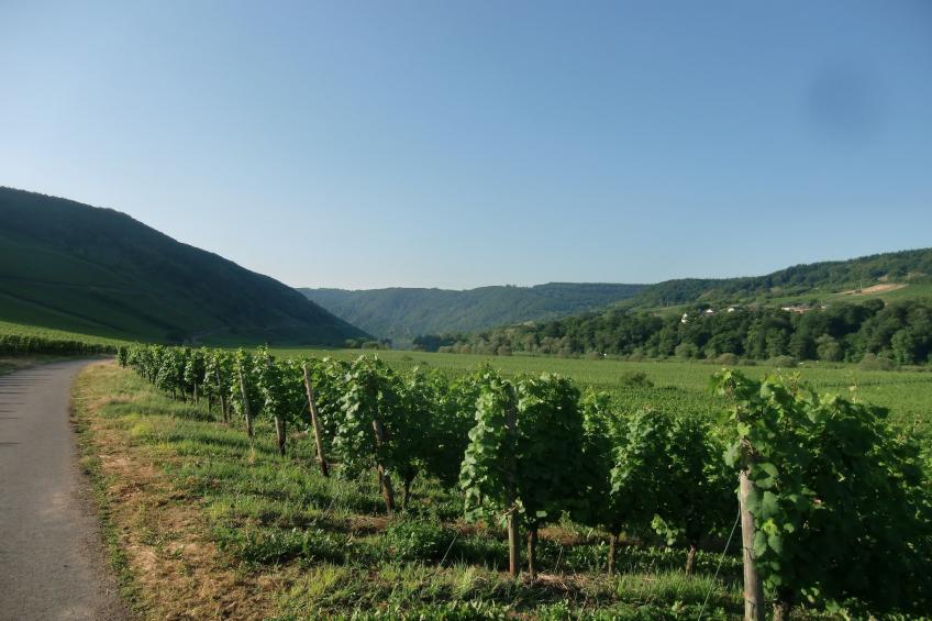 Briedel - foto 25