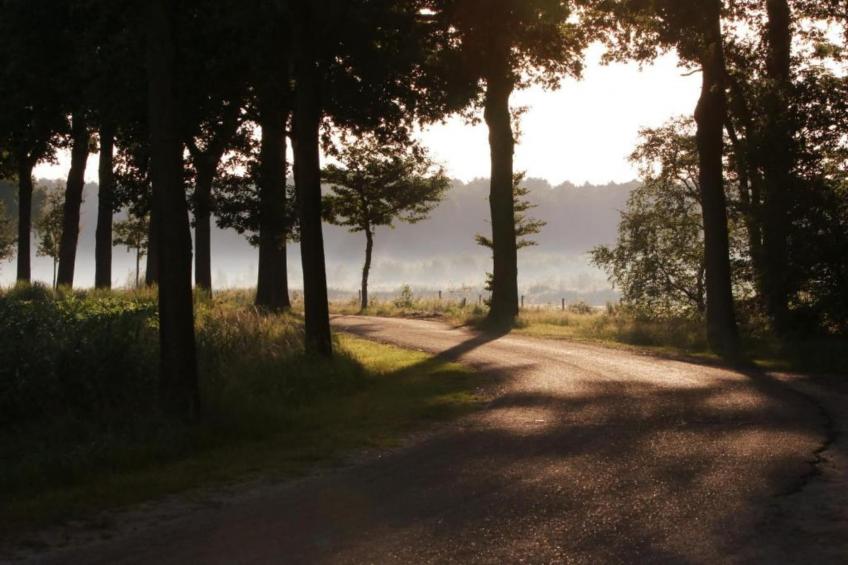 Bospark 't Wolfsven 15 - foto 15