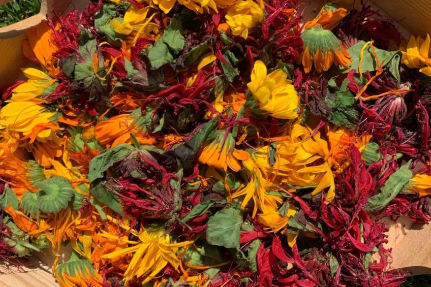 Chalet "Rennweg 114" mit Sauna - foto 66