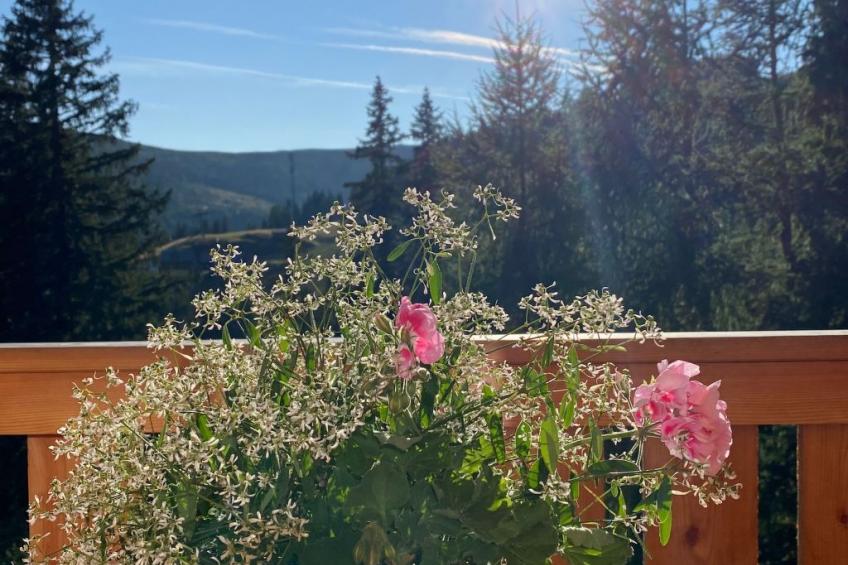 Jagdhütte - foto 54