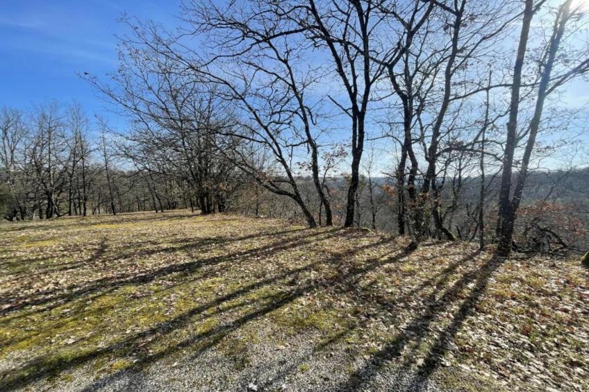 Maison de vacances - MONTAIGU-DE-QUERCY - foto 20