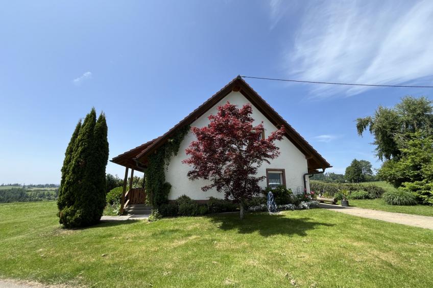 Gustis Hüsli - Alpensicht & Natur pur - foto 45