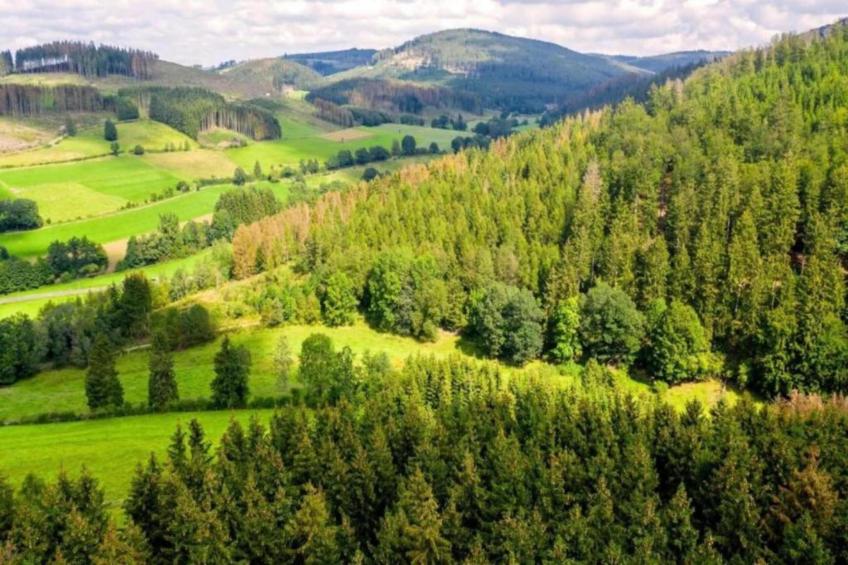 Zum Spitzen Land - foto 40