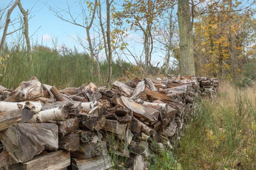 "Dilara" - 400m from the sea in Bornholm - foto 8