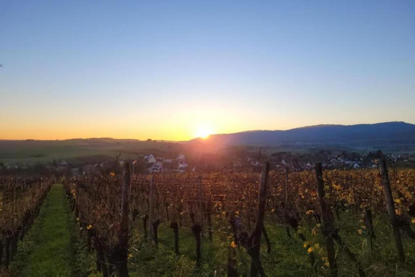 Maison de vacances - SCHLEITHAL - foto 36