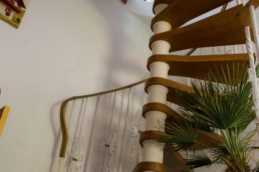 Morgensonne - foto 16