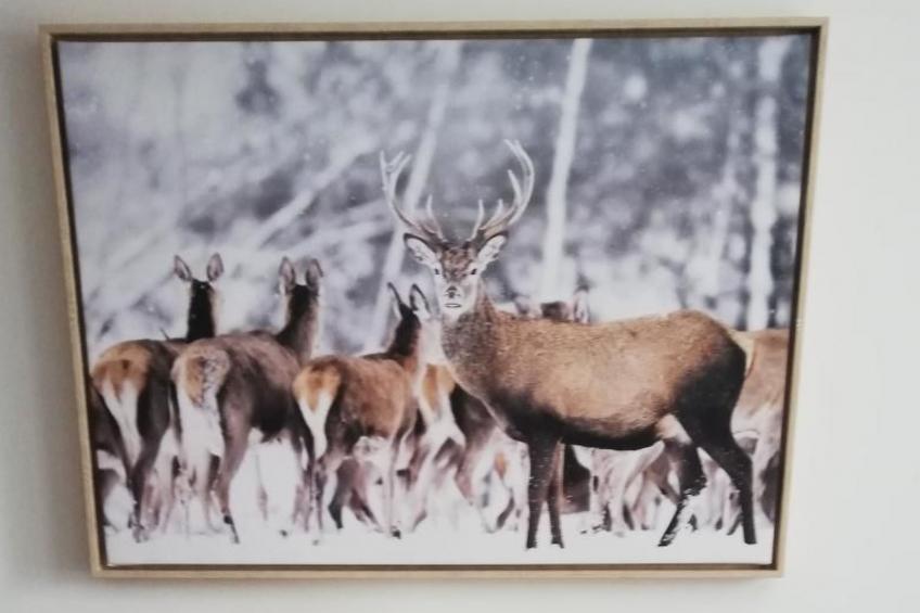 Chalet 3 Zi. in ruhiger Lage, in der Nähe von Verbier - foto 10