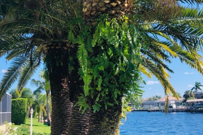 Wunderschönes Ferienhaus in Caloosahatchee mit Terrasse und Garten - foto 32