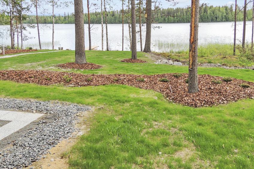 Joensuu, nesterin helmi - foto 56