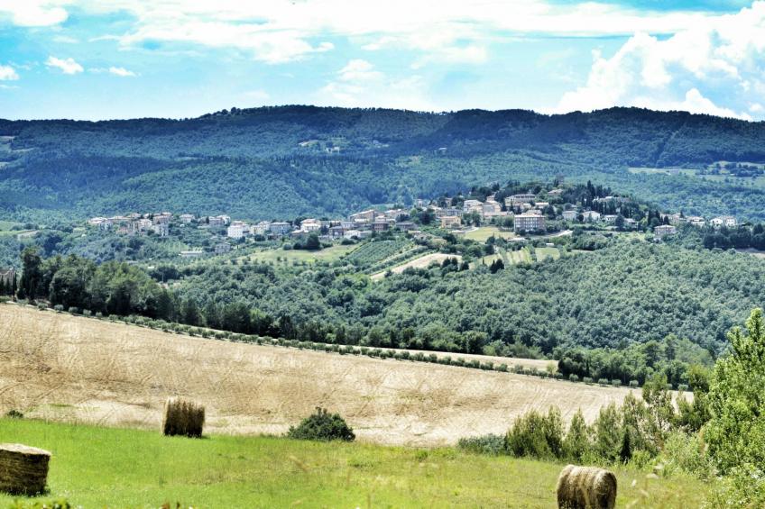 Das Walnusshaus - foto 35