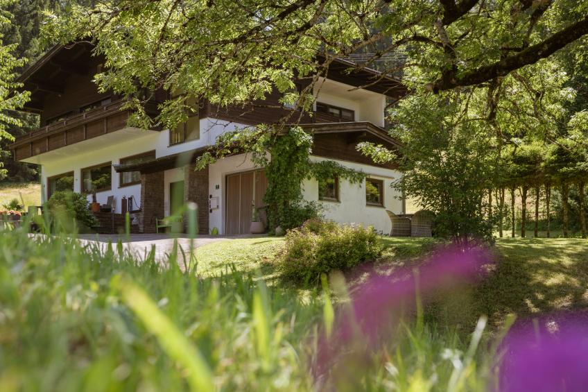 Studio Esche 2 - foto 53