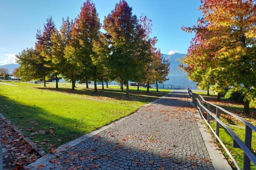 VC02/7 - Villa Castiglioni - foto 26