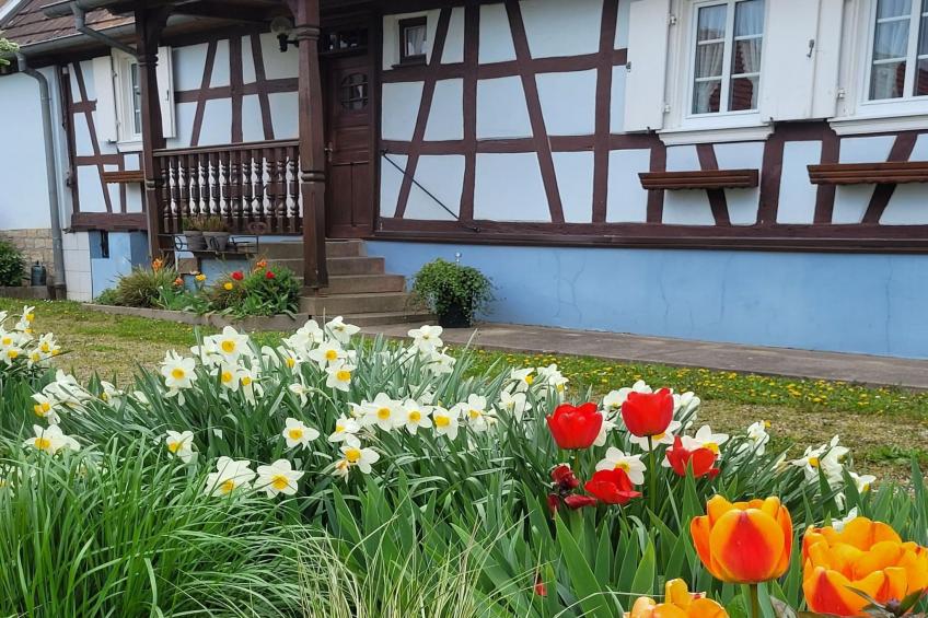 Maison de vacances - SCHLEITHAL - foto 27