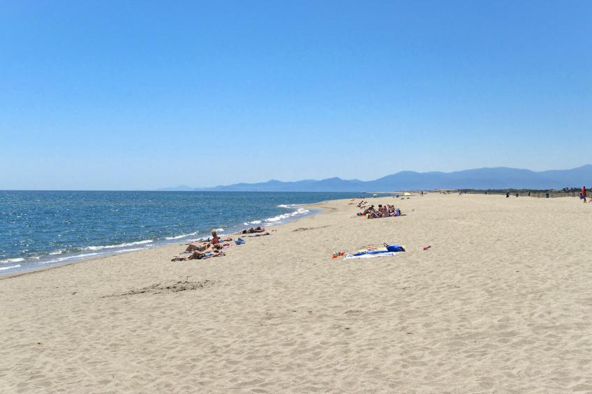 Le Mas de Torreilles - foto 28