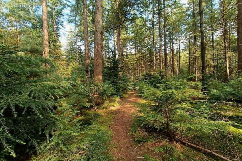 De Veluwse Hoevegaerde 5 - foto 21