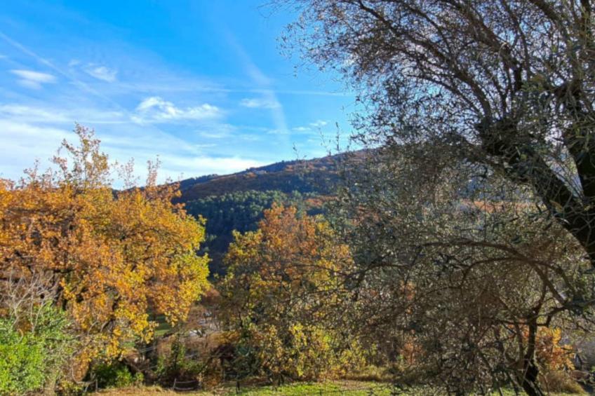 "Maison du Paysan" (Bauernhaus) - foto 22