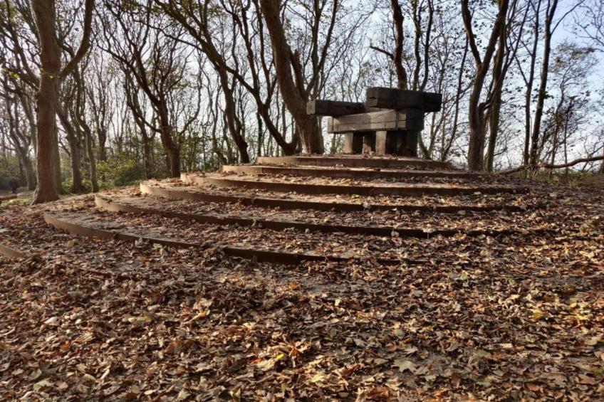 Kustpark Texel 7 - foto 31