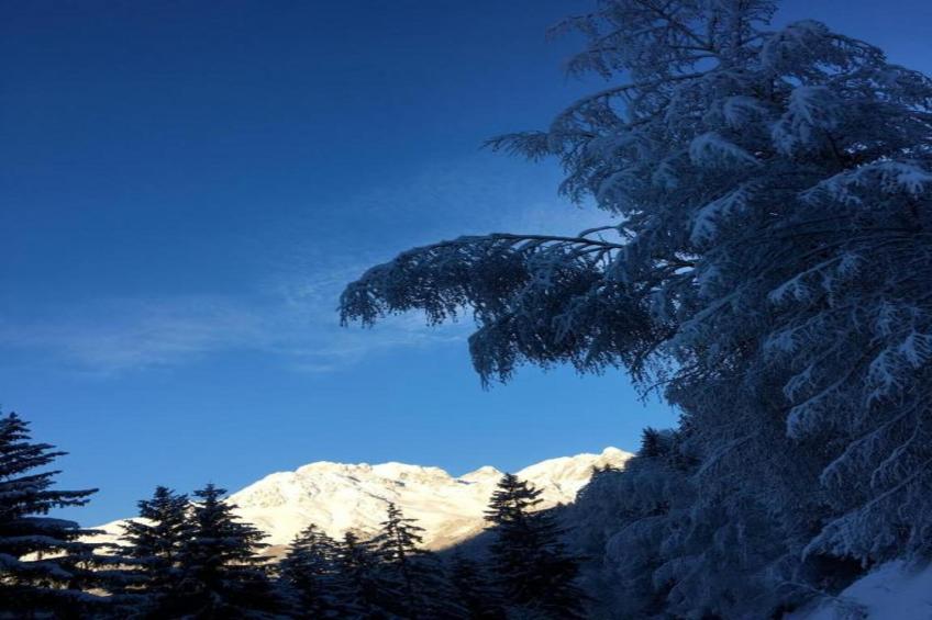 Maison de vacances - OZ EN OISANS - foto 19