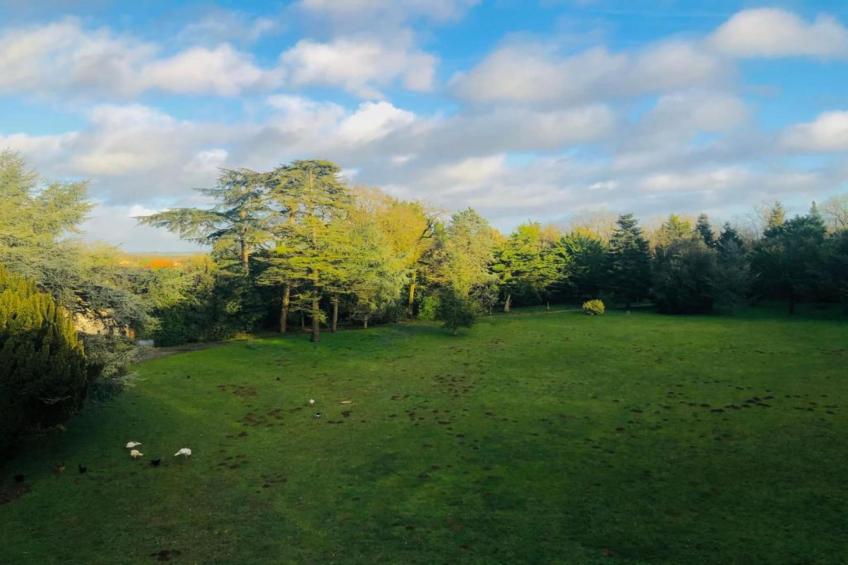 Villa Ravel - foto 33