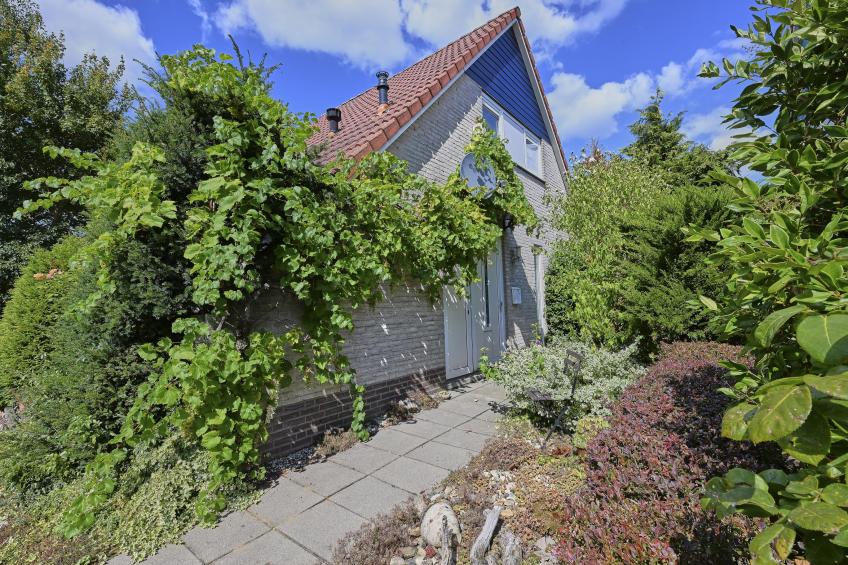 Aan de oever - foto 35