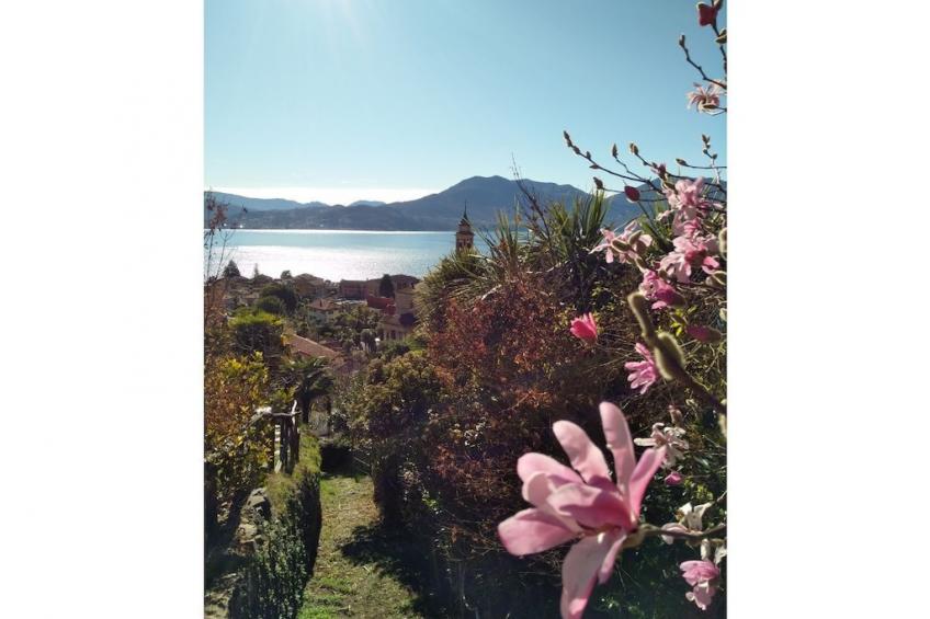 266271 - foto 28