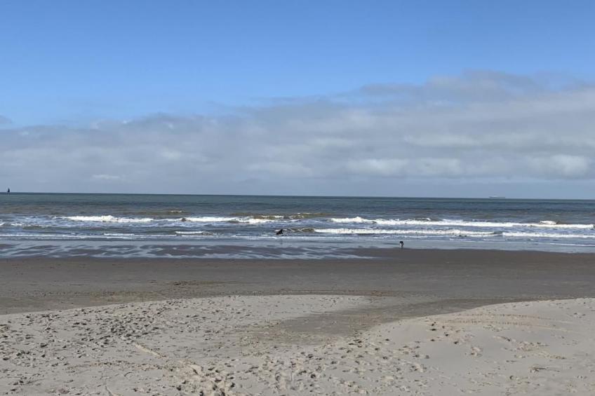 Haus Meeresbrise - foto 13